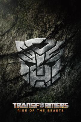 Nomadland stream