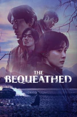 Nomadland stream