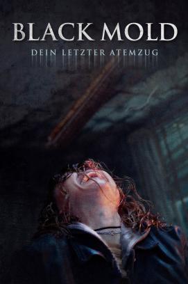 Nomadland stream