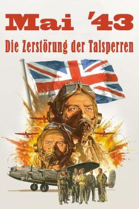 Nomadland stream
