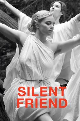 Nomadland stream